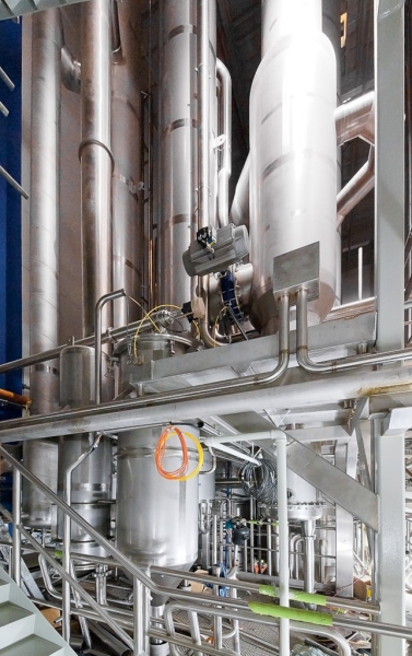 Oceania Dairy_p